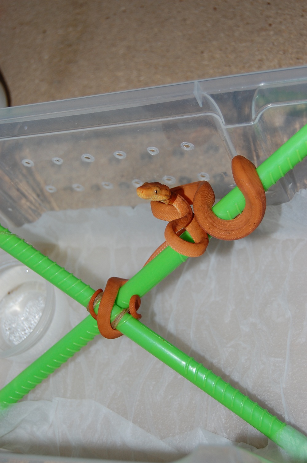 DSC_0001 (2)small.jpg