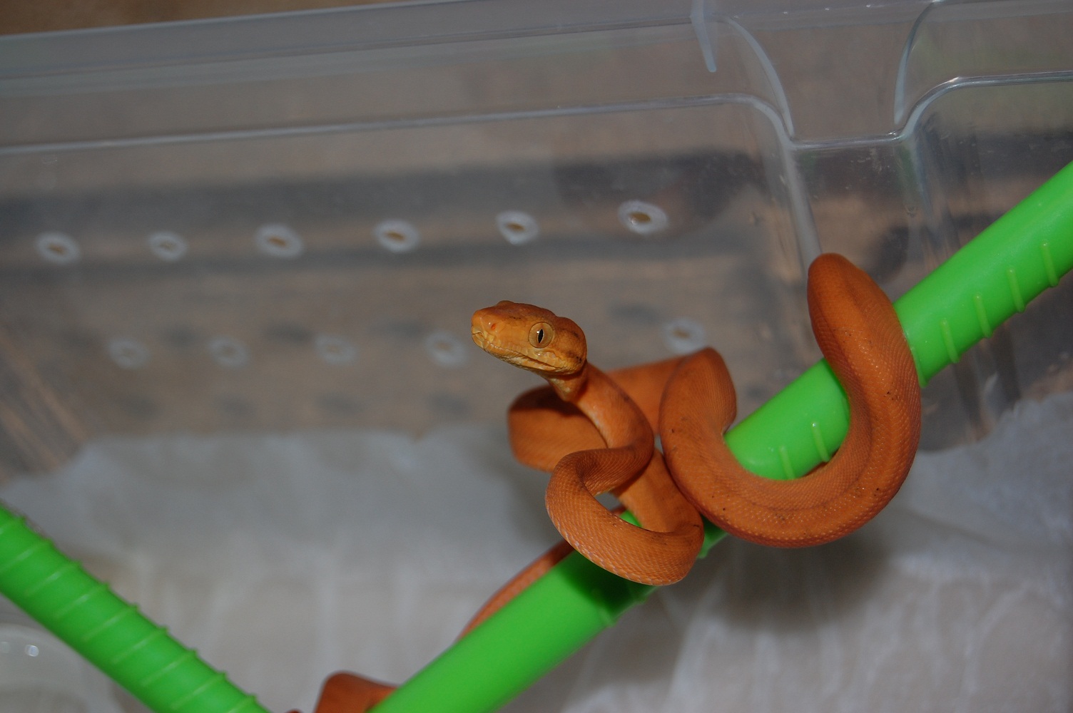 DSC_0003 (2)small.jpg