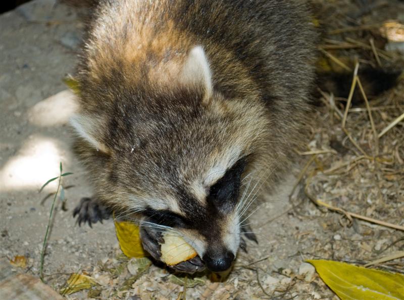 DSC_0032 (Medium).jpg