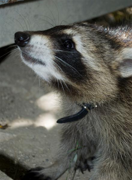 DSC_0034 (Medium).jpg