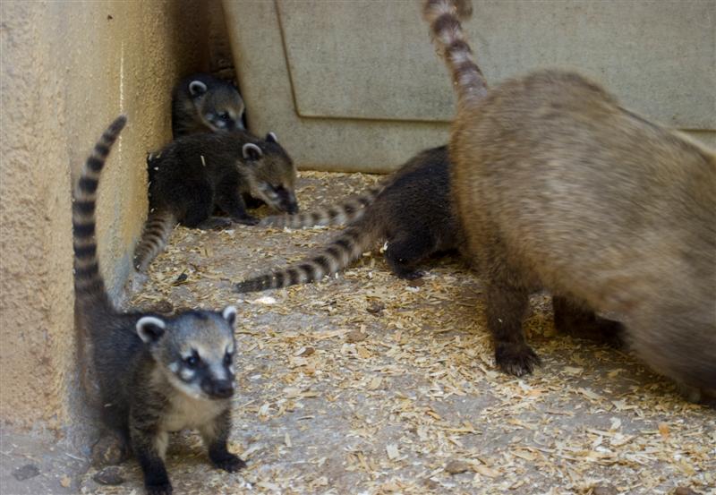 DSC_0039 (Medium).jpg