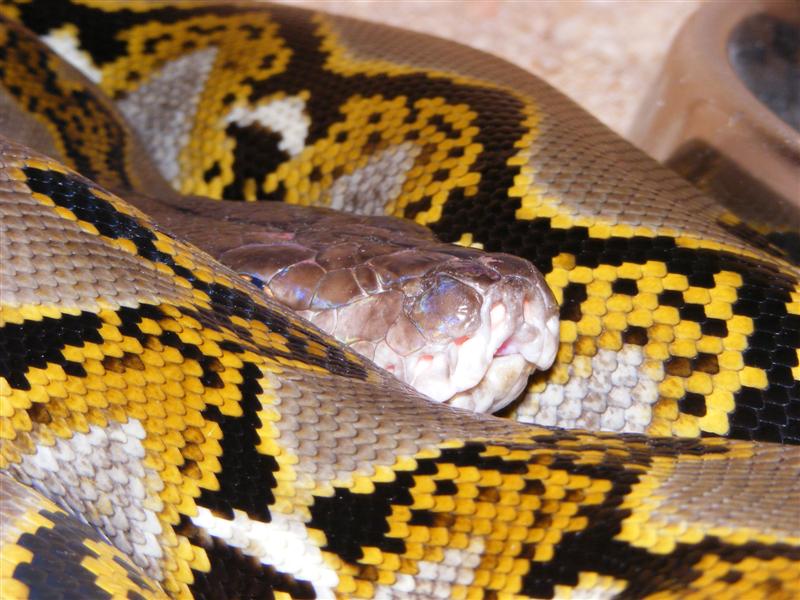 DSCF0006 (Medium).jpg