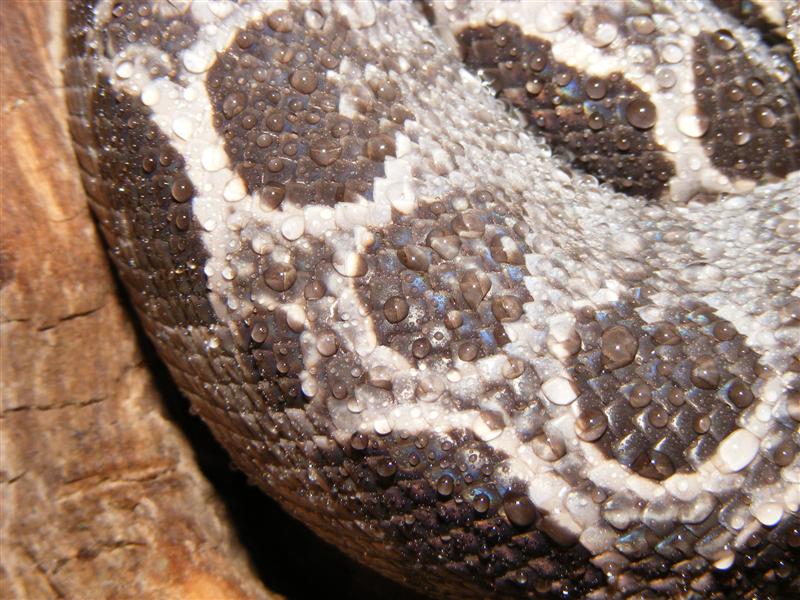 DSCF0017 (Medium).jpg