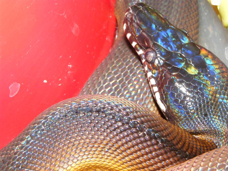 DSCF0027 (Medium).jpg