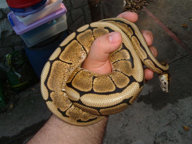 DSCF0902 (Small).JPG