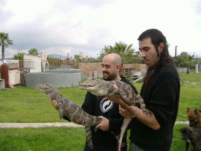 DSCF2108 (Small).JPG