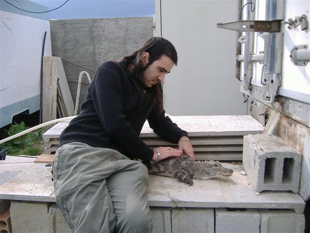 DSCF2112 (Small).JPG