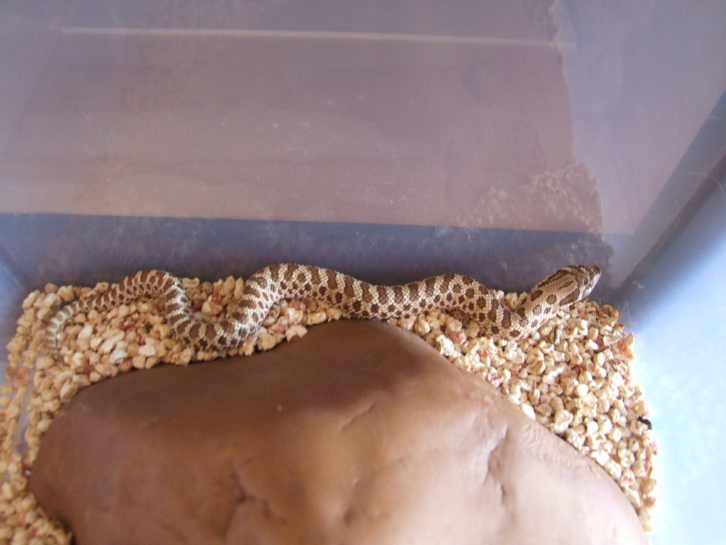 DSCF2406 (FILEminimizer).JPG