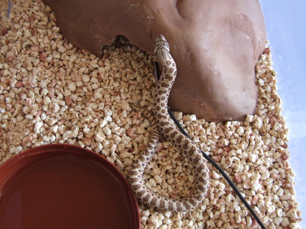 DSCF2407 (FILEminimizer).JPG