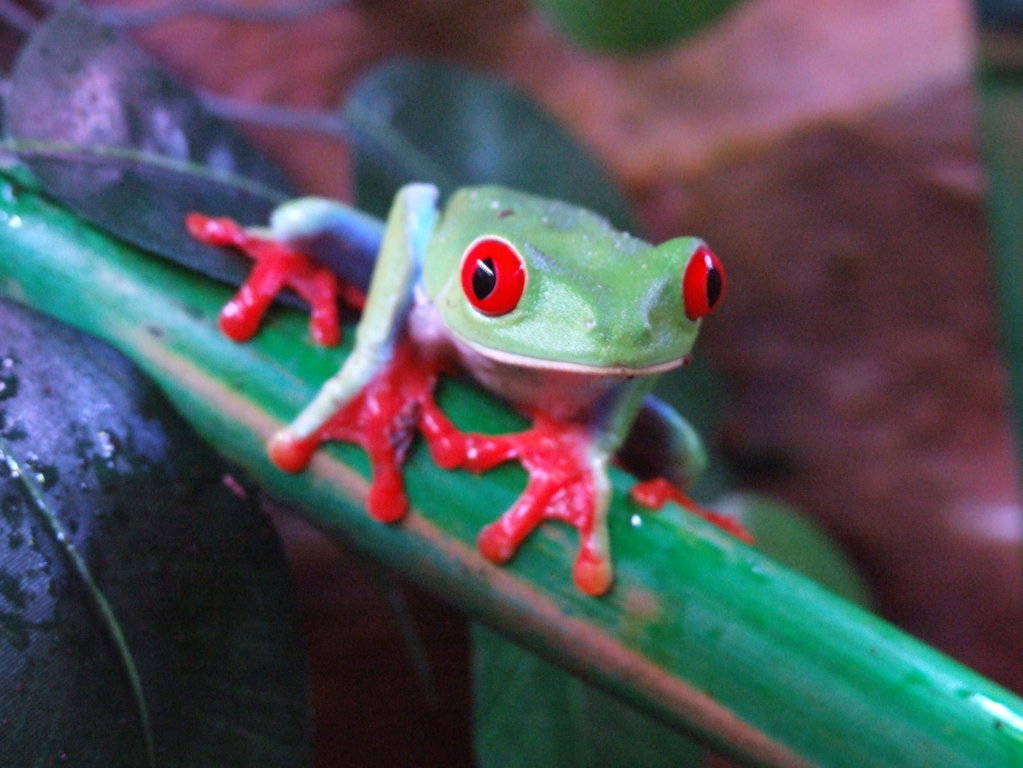 DSCF2429 (FILEminimizer).JPG