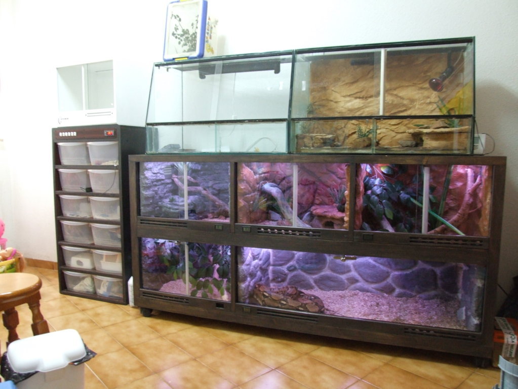 DSCF2435 (FILEminimizer).JPG