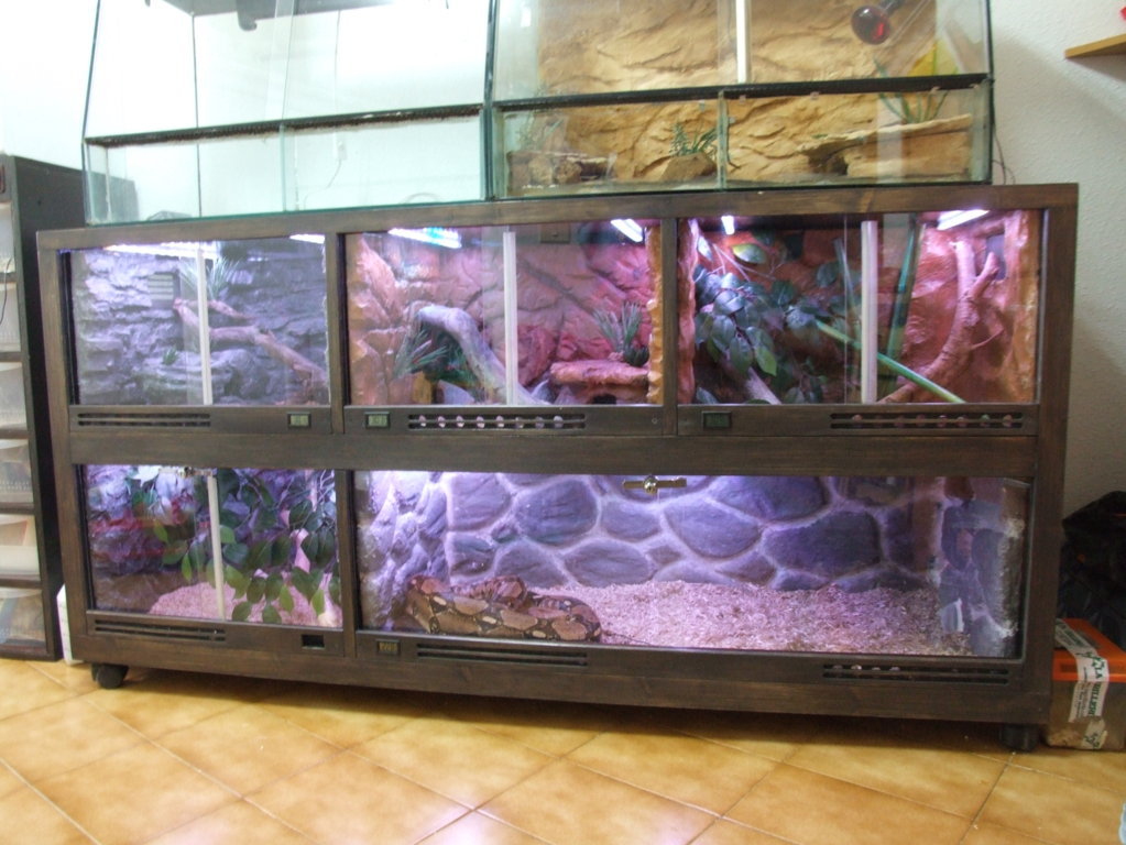 DSCF2437 (FILEminimizer).JPG