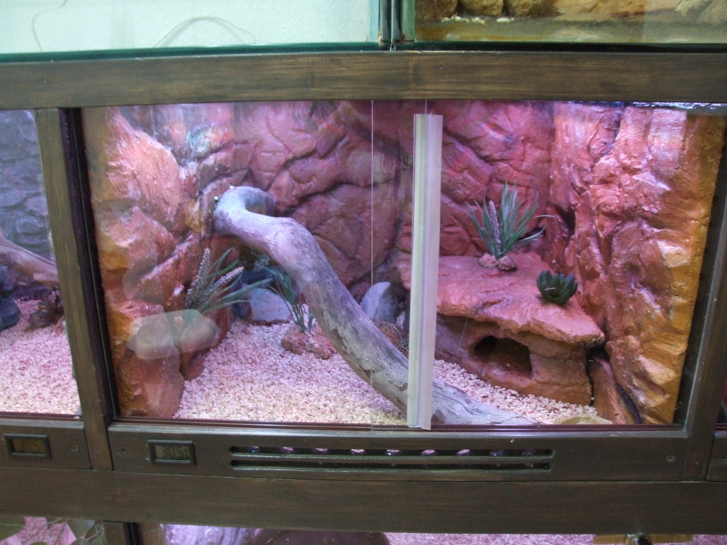 DSCF2441 (FILEminimizer).JPG