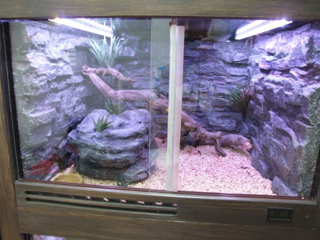 DSCF2442 (FILEminimizer).JPG