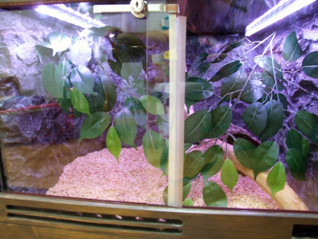 DSCF2443 (FILEminimizer).JPG