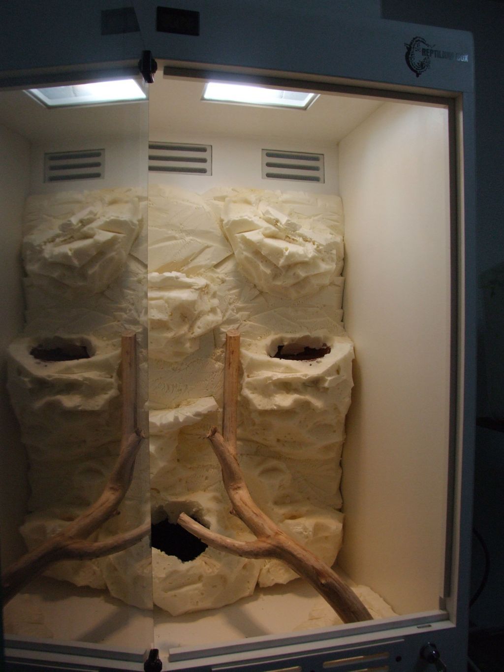 DSCF2508 (FILEminimizer).JPG