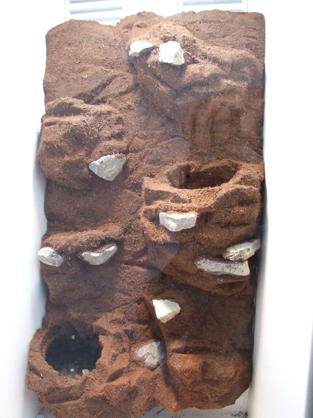 DSCF2520 (FILEminimizer).JPG