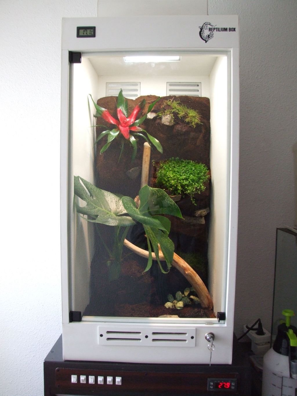 DSCF2522 (FILEminimizer).JPG