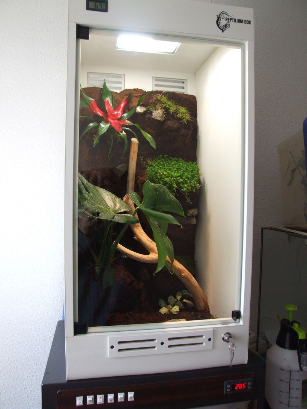 DSCF2527 (FILEminimizer).JPG