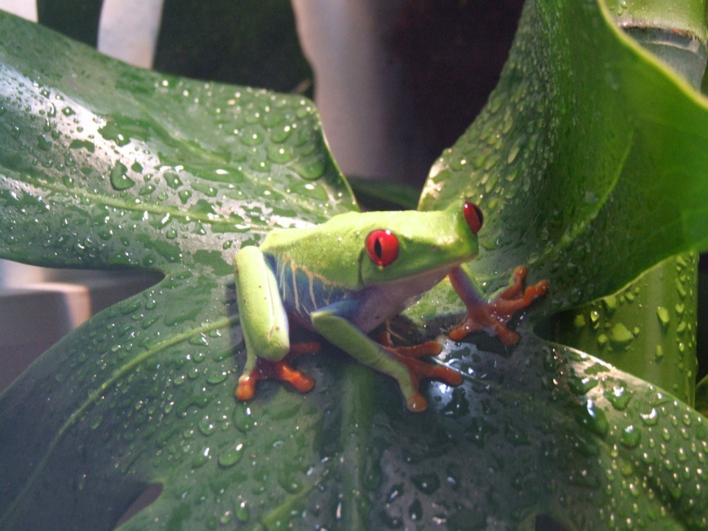 DSCF2543 (FILEminimizer).JPG