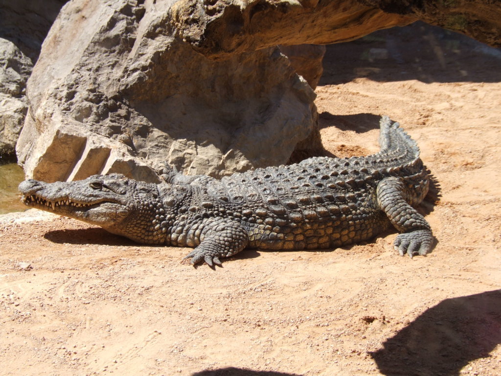 DSCF2715 (FILEminimizer).JPG