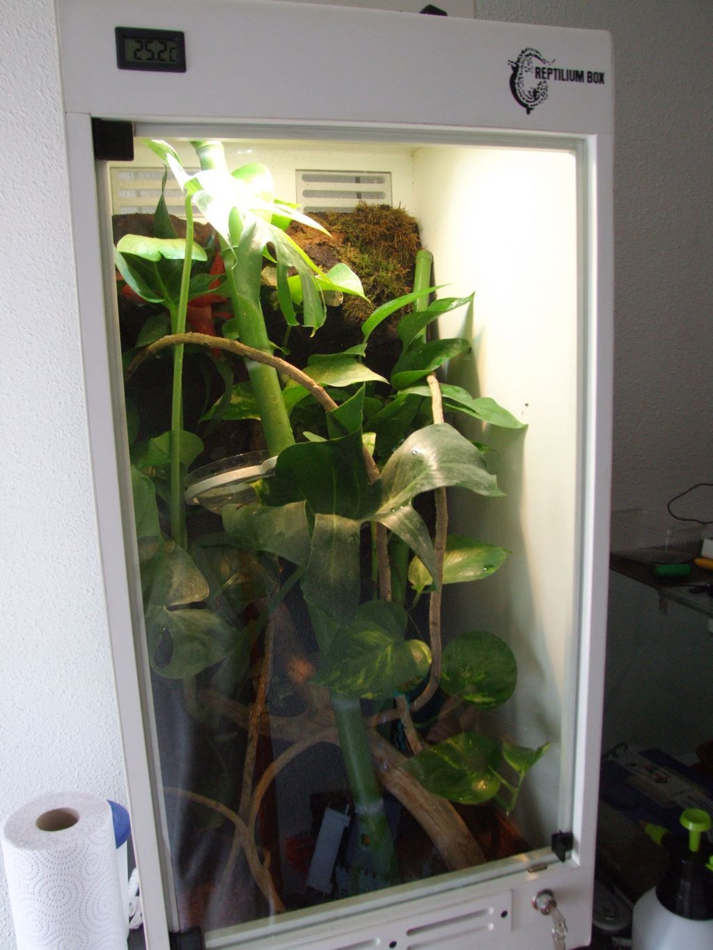 DSCF2767 (FILEminimizer).JPG