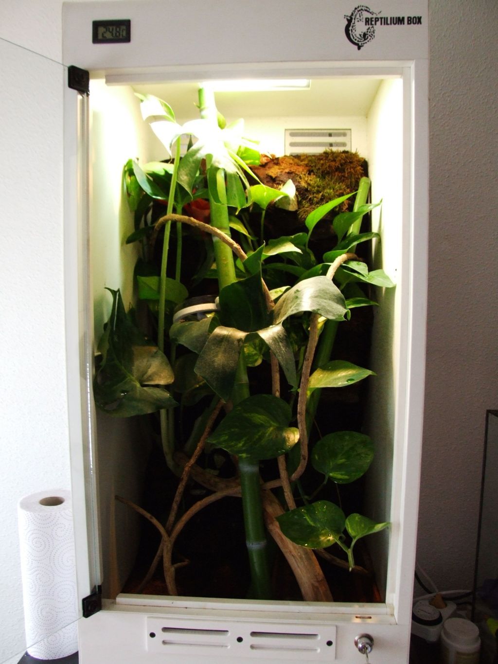 DSCF2770 (FILEminimizer).JPG