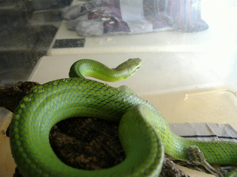 DSCF4095 (Medium).JPG