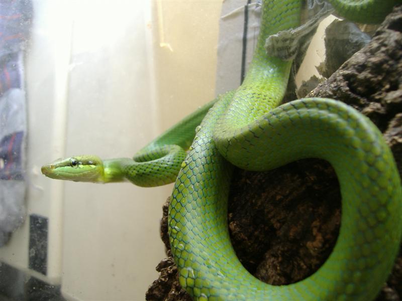 DSCF4097 (Medium).JPG