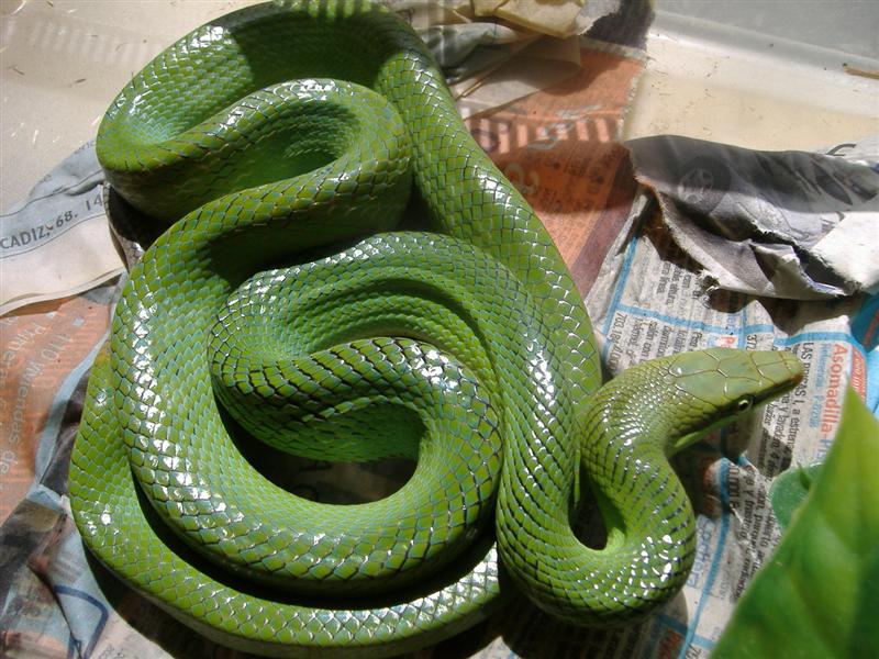 DSCF4154 (Medium).JPG