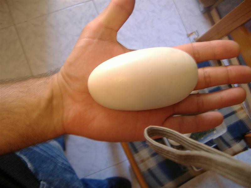 DSCF4949 (Medium).JPG