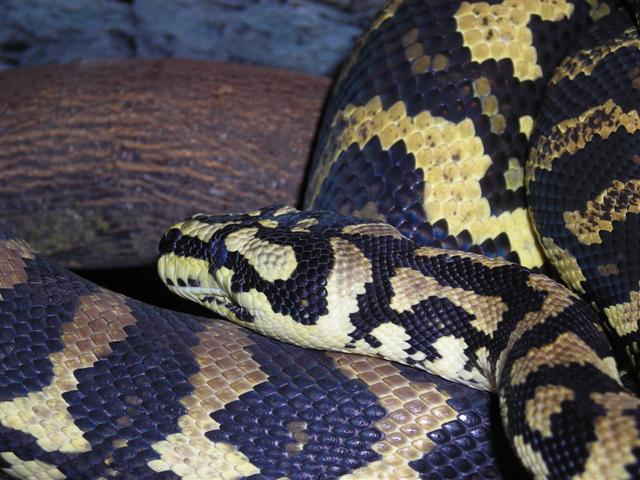 DSCN0737 (Small).JPG