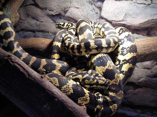 DSCN0741 (Small).JPG