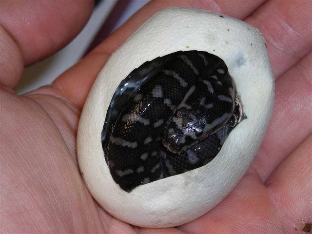 DSCN0982 (Small).JPG