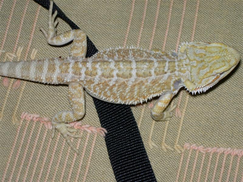 DSCN0990 (Medium).JPG