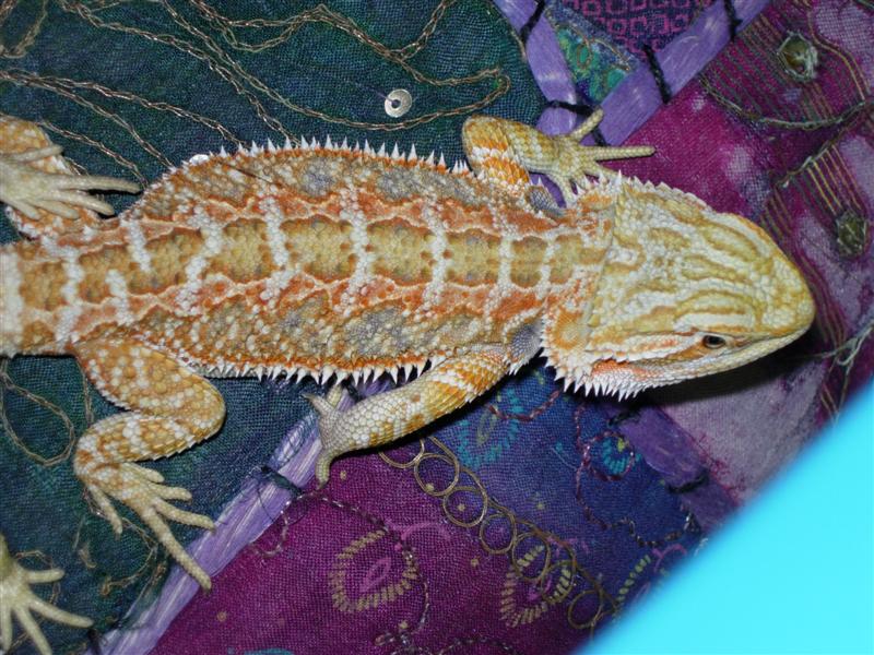 DSCN0995 (Medium).JPG