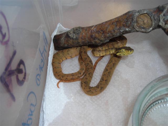 DSCN1007 (Small).JPG