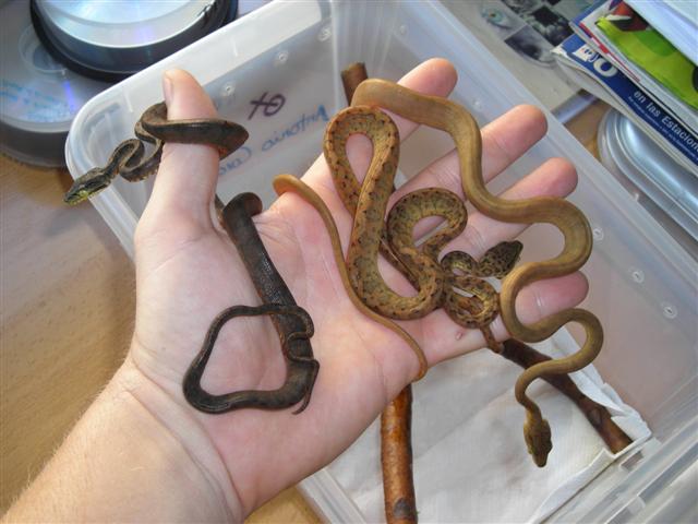 DSCN1009 (Small).JPG