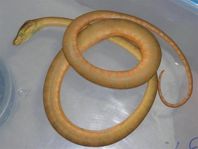 DSCN1012 (Small).JPG