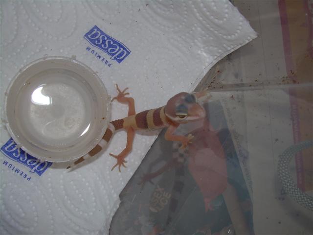 DSCN1311 (Small).JPG