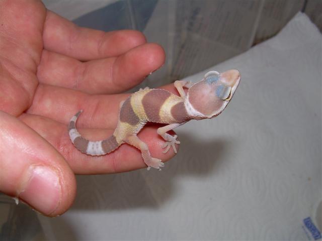 DSCN1314 (Small).JPG