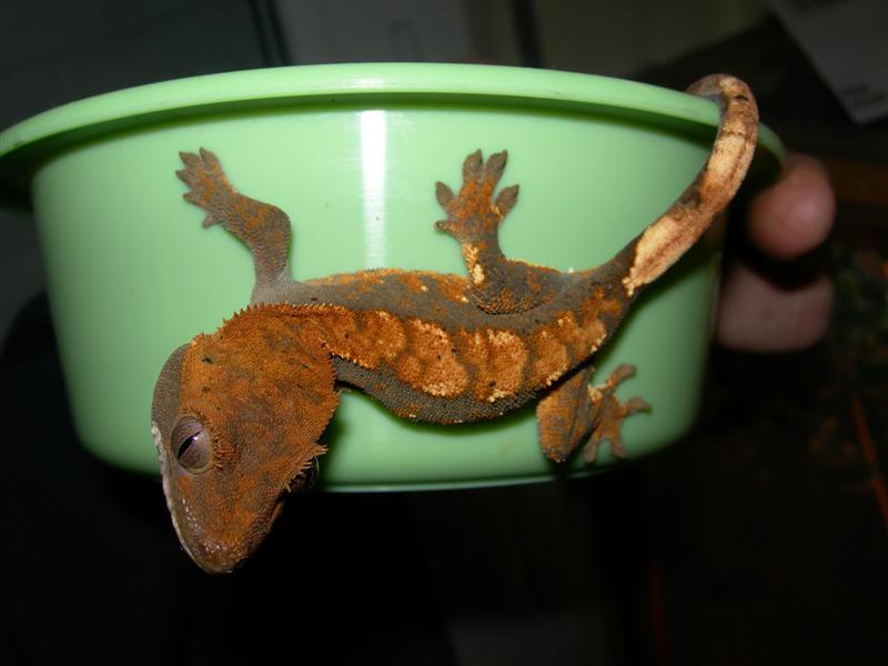 DSCN1701 (Medium).JPG