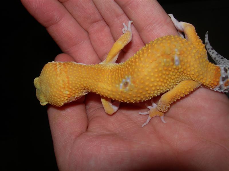 DSCN1740 (Medium).JPG