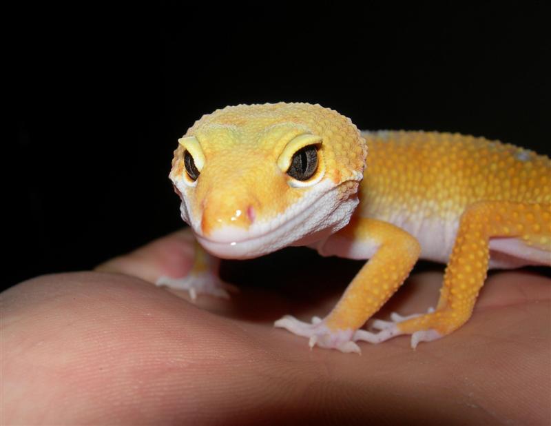 DSCN1741111 (Medium).JPG