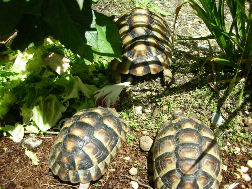 DSCN5909 [1024x768].JPG