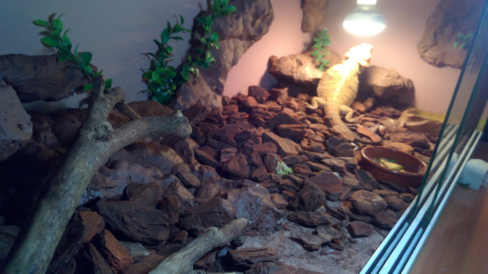 E7675b51-7906-4225-96e7-3f28347bb1d0