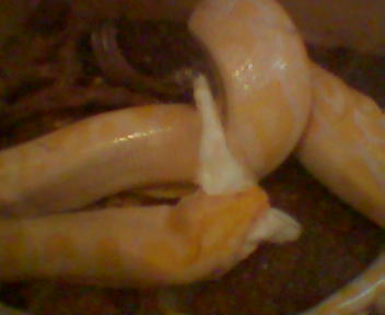 emili comiendo 2.jpg