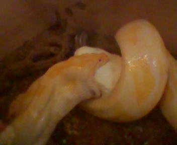 emili comiendo 3.jpg