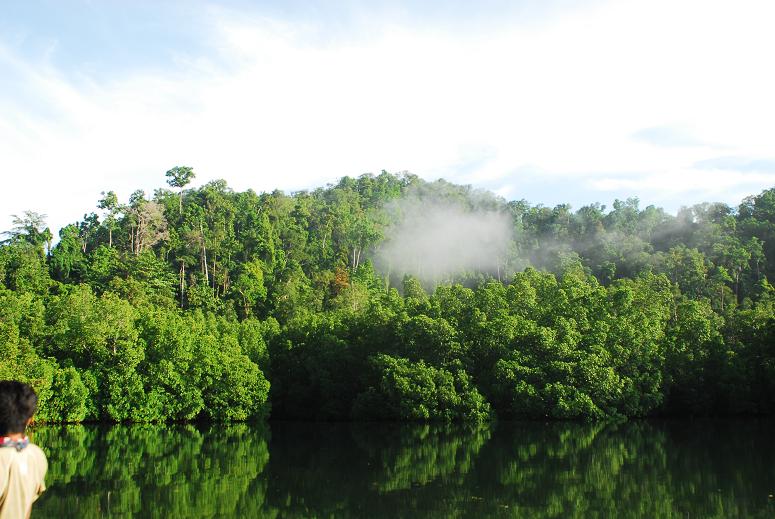 end of mandui bay 1.JPG