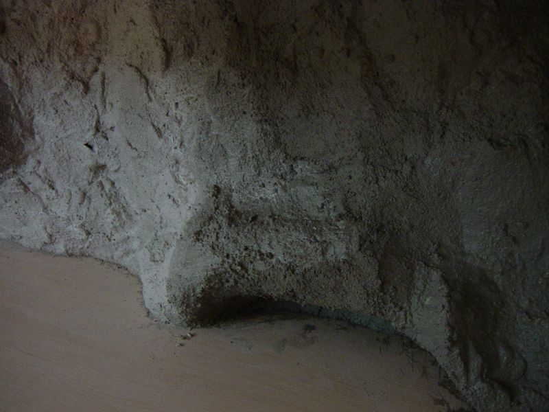 ese terrario 001.jpg